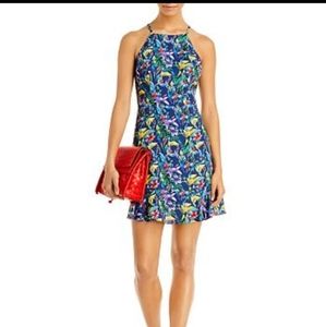 AQUA x Mary Katrantzou Parrot Print High Neck Dress - 100% Exclusive